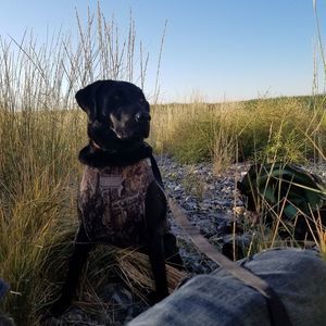 Meet your Posher, Kacey